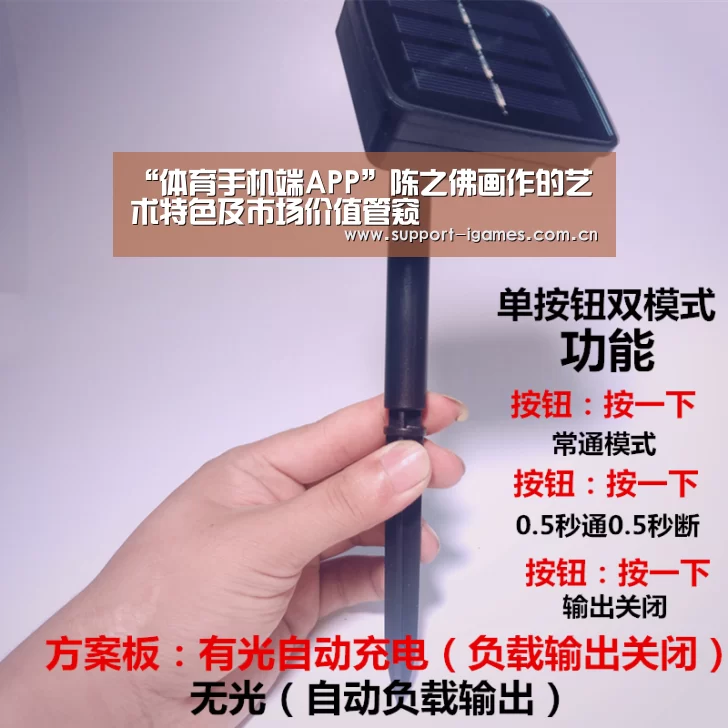 体育手机端APP