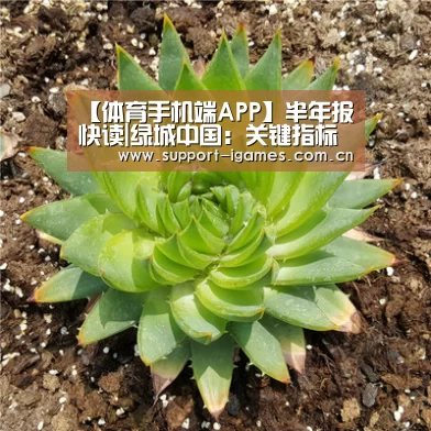 爱游戏体育直播