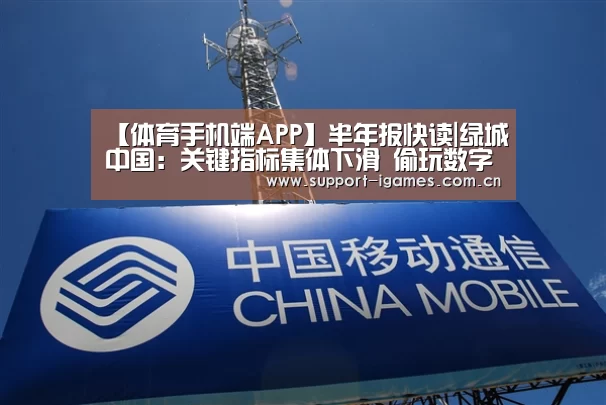 体育手机端APP