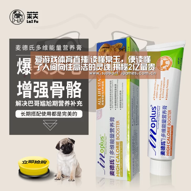 体育手机端APP