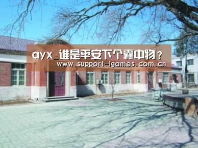 体育手机端APP