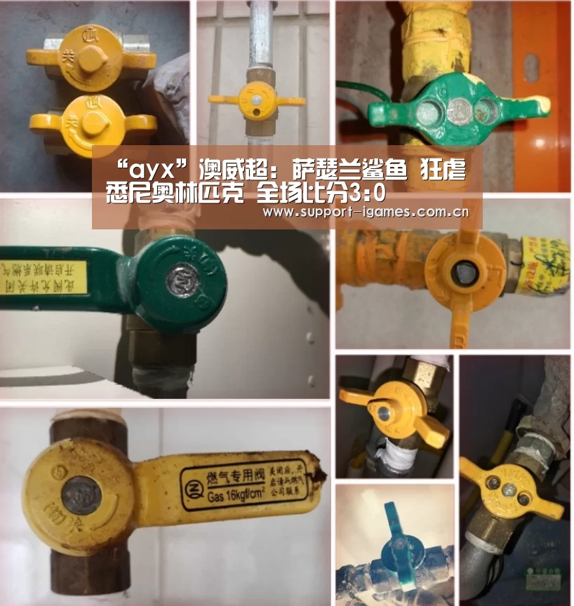“ayx”澳威超: 萨瑟兰鲨鱼 狂虐悉尼奥林匹克 全场比分3:0(图1)