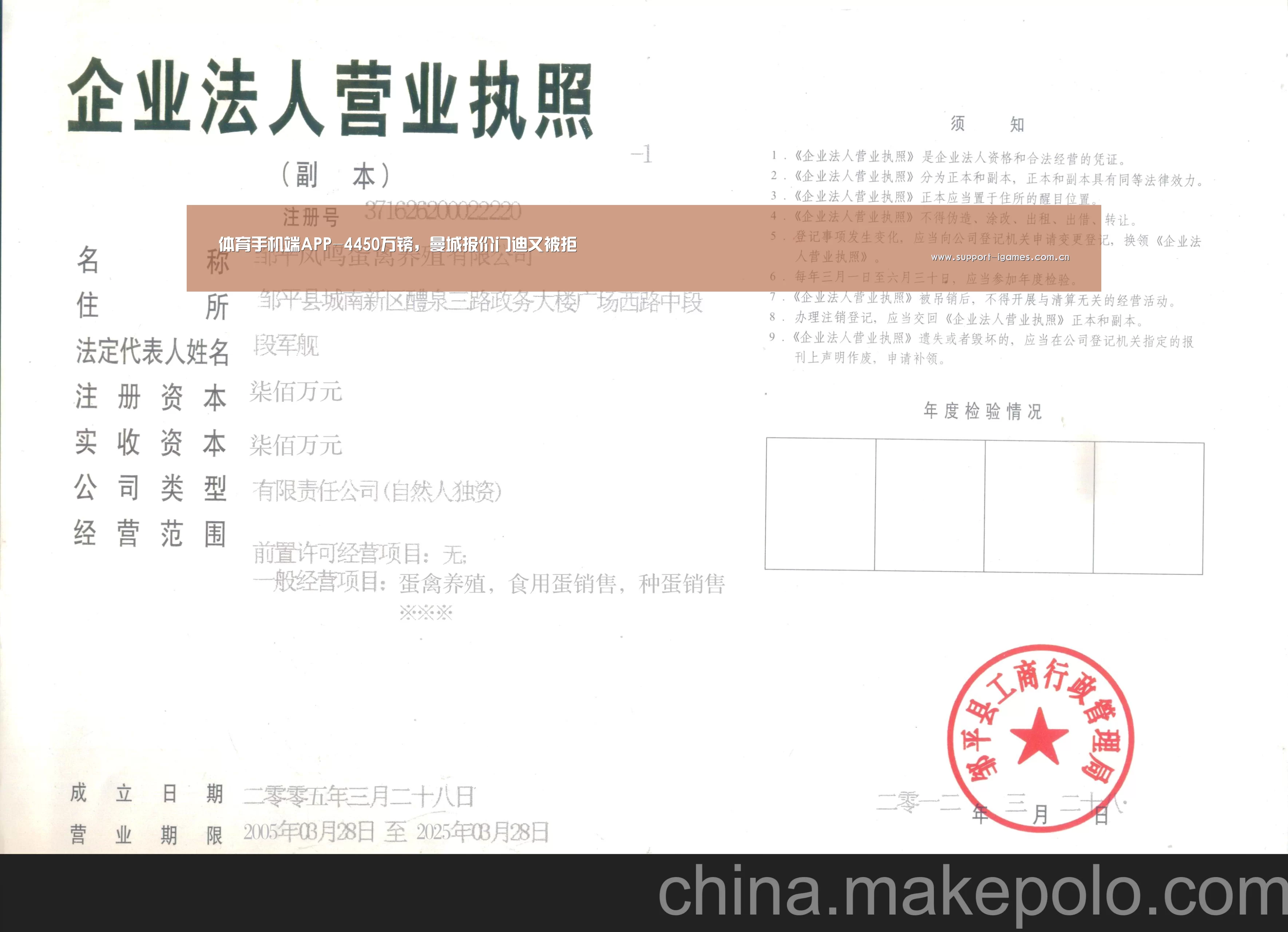 体育手机端APP